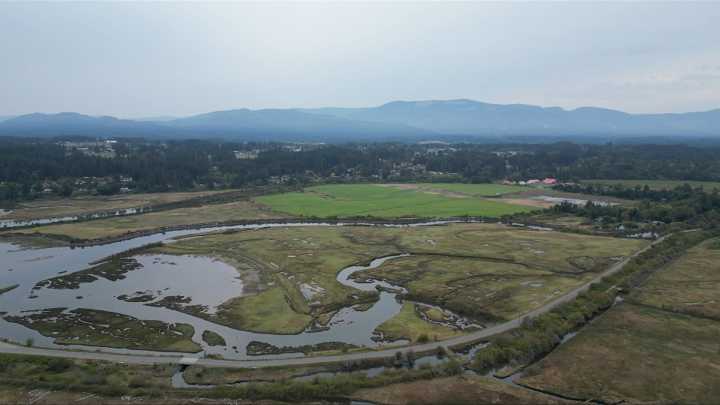 ALC rejects request to flood Cowichan farmland to turn into marsh