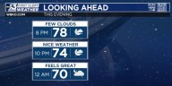 Weather forecast in favor of outdoor plans next week