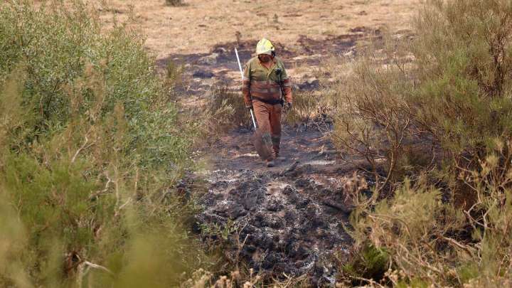 Las profundas razones por las que arte el monte: es más complejo que culpar a los pirómanos y al cambio climático