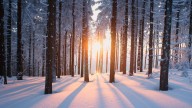 Farmers’ Almanac: See what it forecasts for winter 2025
