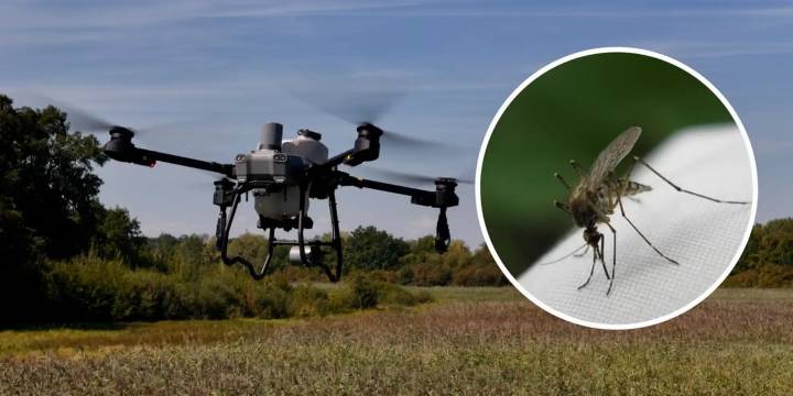‘Cheaper, More Humane’ Drones Emerge as Key Weapon in Mosquito Control from Poland to Africa