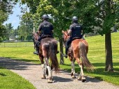Ottawa Police take to social media to talk horse poop