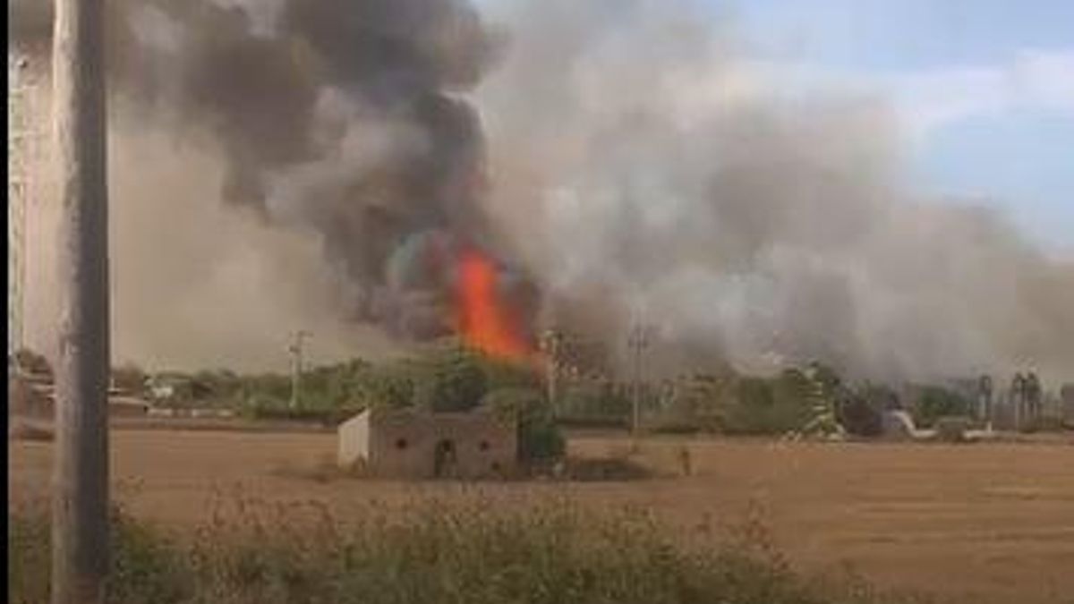Rescatan a 30 caballos en el incendio de la finca agrícola de Manacor
