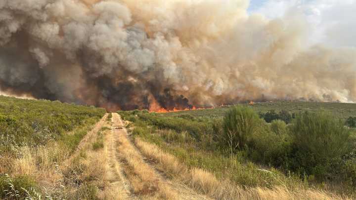 Incendios forestales: el papel clave que juegan los agricultores y ganaderos