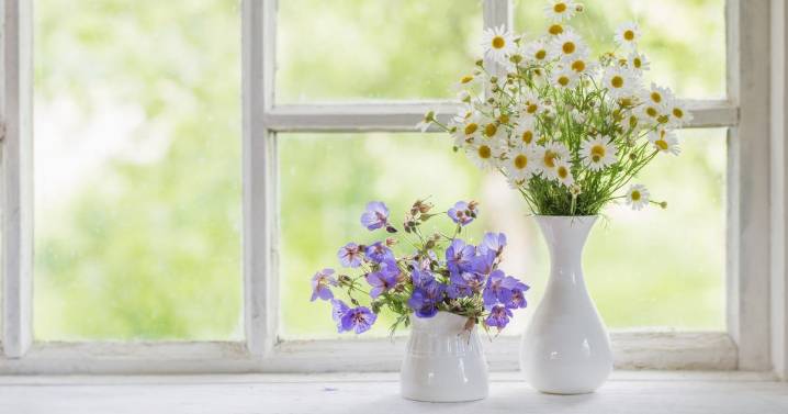8 things that should never be left on a windowsill