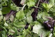 Salad kits sold in 25 states recalled
