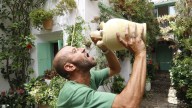 Botijos, tradición contra el calor