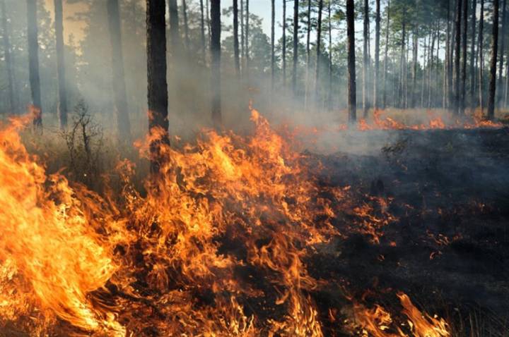 Arde España y solución en manos de naturaleza