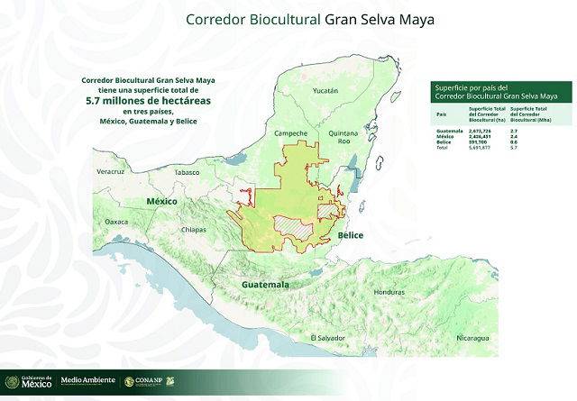 En un acuerdo histórico, México, Guatemala y Belice crean el Corredor Biocultural de la Gran Selva Maya, el más grande del mundo en su tipo