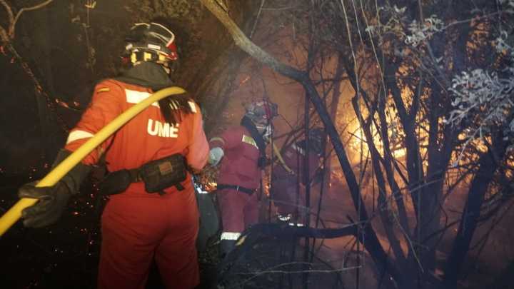 La UME refuerza Extremadura: 20 patrullas y maquinaria pesada llegan para reforzar la seguridad y la emergencia