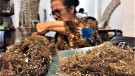 Italia concede una pensión vitalicia a la última maestra artesana del bisso, una fibra elaborada con filamentos de moluscos