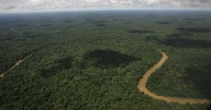 Ambientalistas temen que Noboa esté debilitando la reputación ecológica de Ecuador