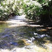 COLUMN: Two years later, Logan City moves to betray its promise to protect our streams