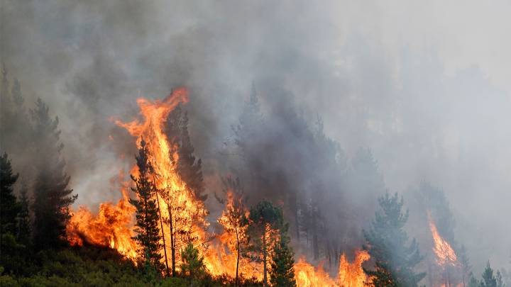 Última hora incendios en España en directo: Protección Civil confía en que se acerque el fin de la ola de incendios