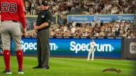 Squirrel runs onto field, briefly delaying Red Sox