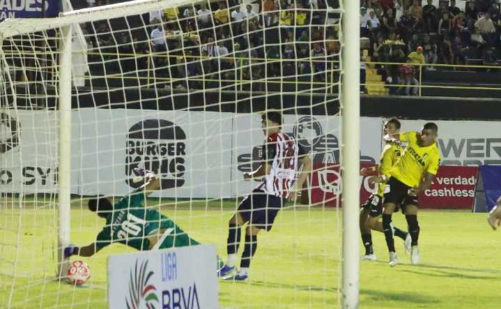 Doloroso revés venado