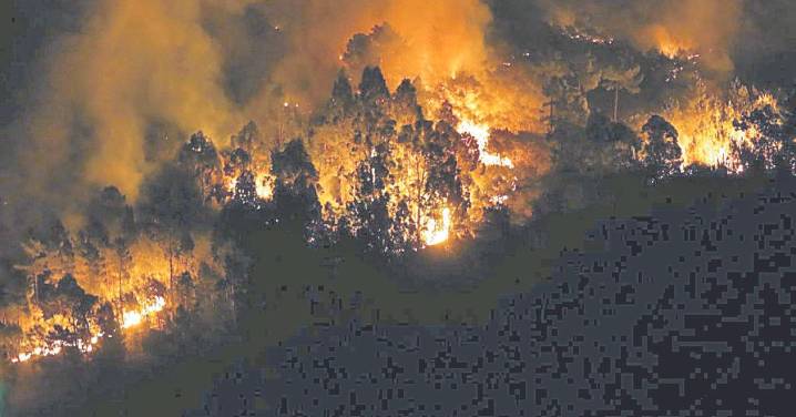 Claves económicas de los incendios