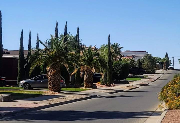 El Paso homeowners face city property tax hike; UTEP trims budget over federal cuts; unemployment rate increases