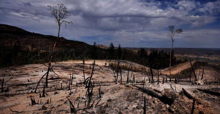 Pickett Fire: Napa wildfire not expected to spread further as crews boost containment to 29%