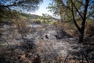 El Gobierno autoriza labores de volteo para prevenir incendios