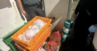 Incautan 91 kilos de raya y 800 cigarrillos de contrabando en un control en el puente internacional de Tui