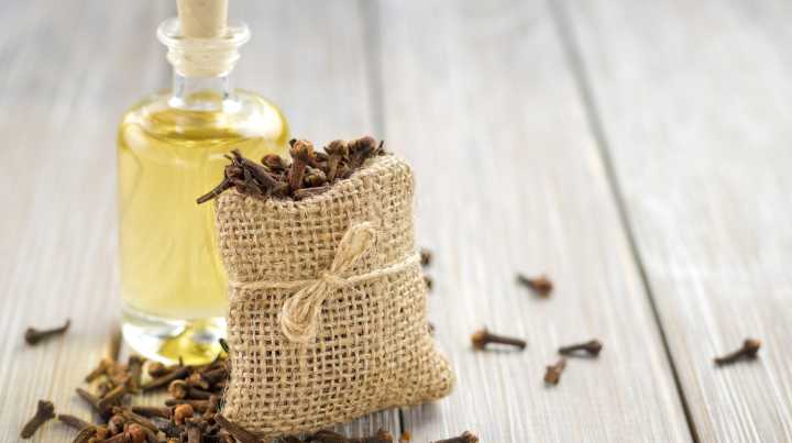5 Common Pests You Can Keep Out Of Your Home And Garden With Clove Oil