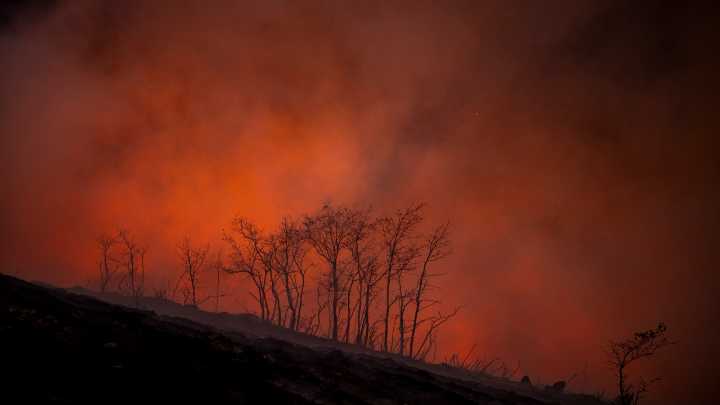 Rueda agradece el esfuerzo de los equipos contra incendios y llama a extremar las precauciones
