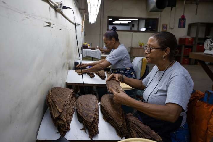 Cómo la República Dominicana envolvió su alma cultural en los mejores cigarros del mundo