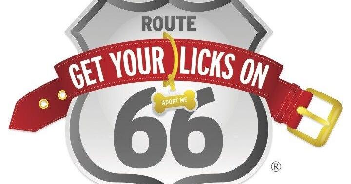 ZYMOX Joins Fido Friendly on 17th Annual "Get Your Licks on Route 66® Pet Adoption Tour"