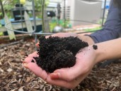 Gardening’s hidden benefits: How digging in the dirt could bolster mental wellbeing