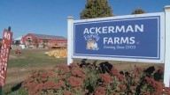 Morton pumpkin farm going out of business
