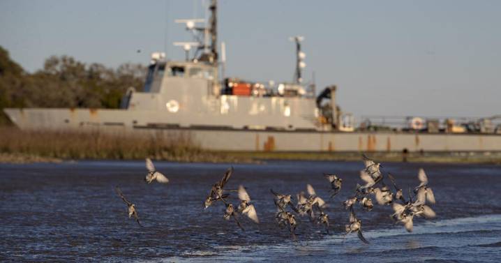S.C. Dept. of Natural Resources to remove derelict Navy ship