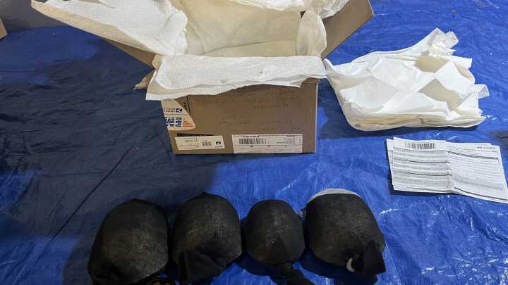 Chinese national admits to exporting protected turtles to Hong Kong