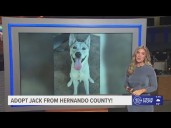 Give Jack from Hernando County a fur