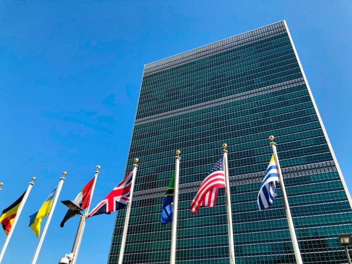 Almost 6 in 10 say UN members should recognize Palestinian state: Survey