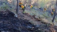 Los bomberos forestales de la Región preparan movilizaciones