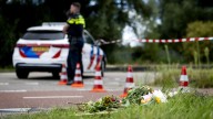 Girl, 17, stabbed to death 'while being followed on way home' as asylum seeker 'who raped woman days earlier' arrested