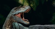Descubrimiento sin precedentes: hallaron al animal extinto más grande del mundo y no se trata de un dinosaurio