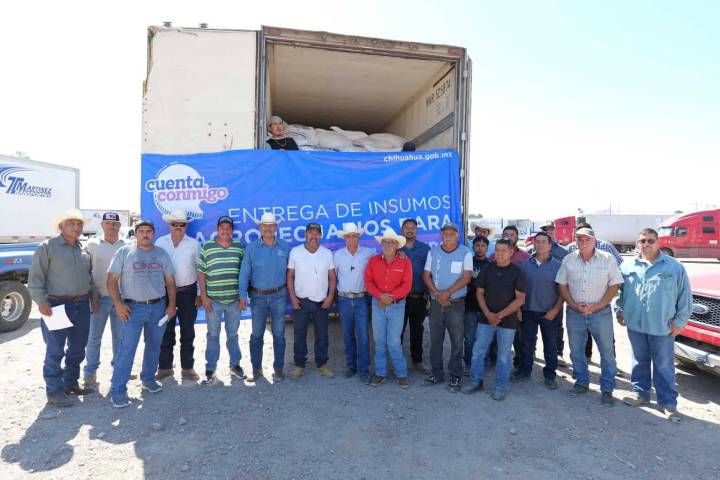 Entregan 33 toneladas de maíz rolado a porcicultores y ganaderos de Camargo