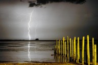 Do storms scare your dog? A new drug could help