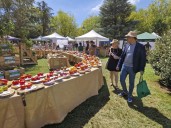 En Torrelavega hay mucho tomate