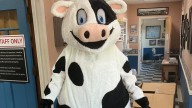 Cleveland County Fair has a new mascot. Help name it.