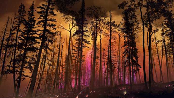 'Fire clouds' over Arizona and Utah wildfires are creating their own erratic climate