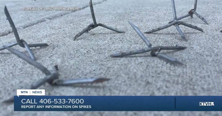 BLM asks for public help after spikes found on p
