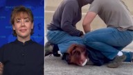 LA Immigrant Rights Activist Recounts Violent Arrest by Masked Federal Agents
