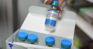 US childhood vaccination rates fall again as exemptions set another record
