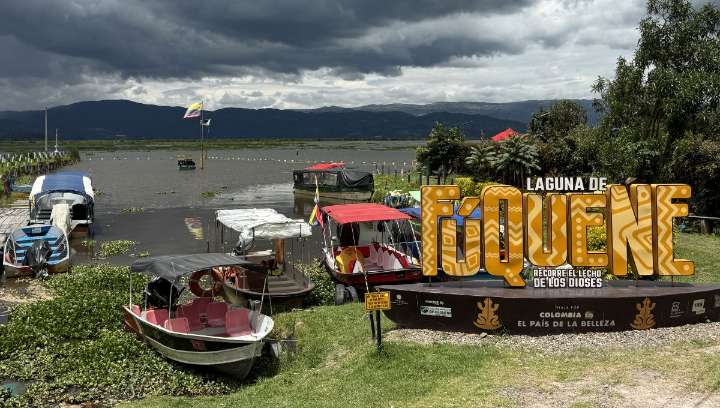 CAR retiró buchón de la laguna de Fúquene y lo dispuso para abono: así es el proceso