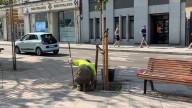 El PSOE denuncia el "desmantelamiento" del Servicio de Parques y Jardines de Valladolid