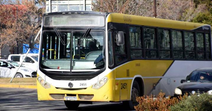 Denuncia de una pasajera obligó a cambios en los colectivos de Plottier: qué dijo la municipalidad