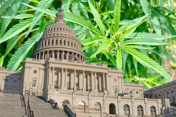 Tilray: Sell The U.S. Rescheduling Rally (NASDAQ:TLRY)